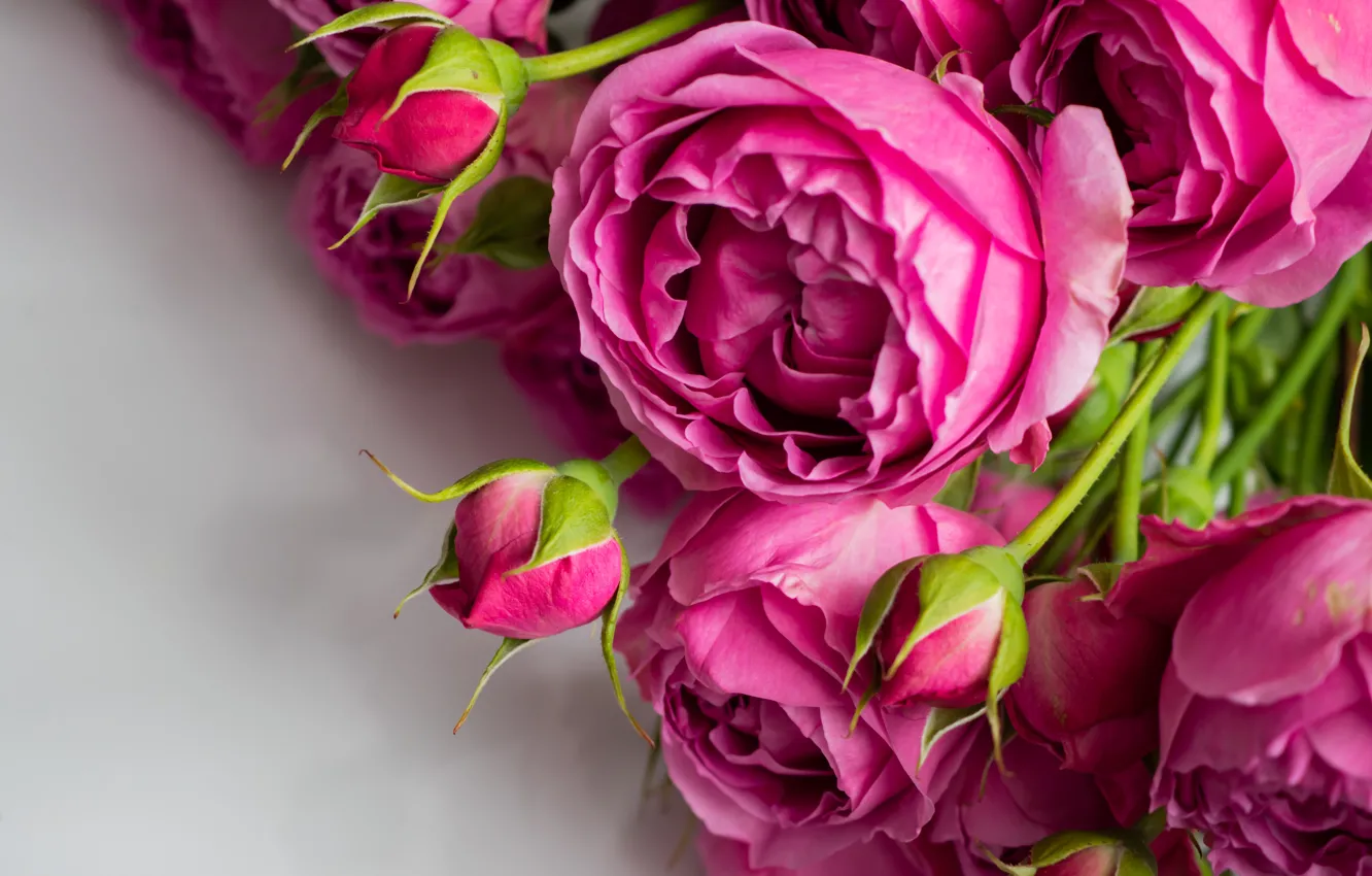 Photo wallpaper close-up, roses, bouquet