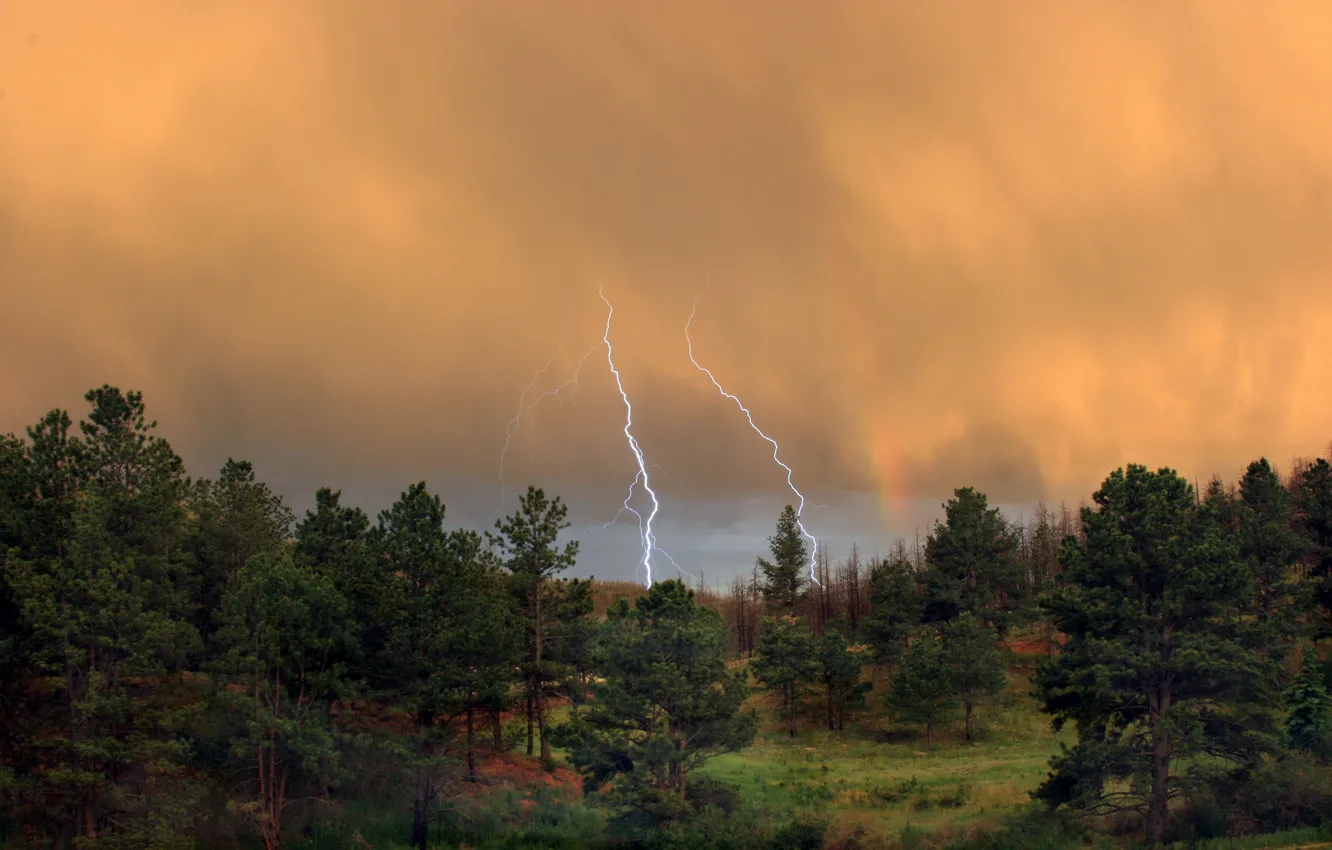 Photo wallpaper Lightning, Forest, Clouds