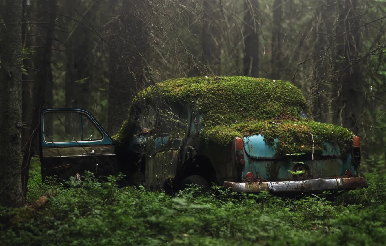 Photo wallpaper machine, forest, moss, scrap