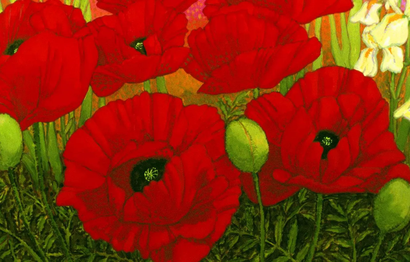 Photo wallpaper field, leaves, flowers, Maki, petals