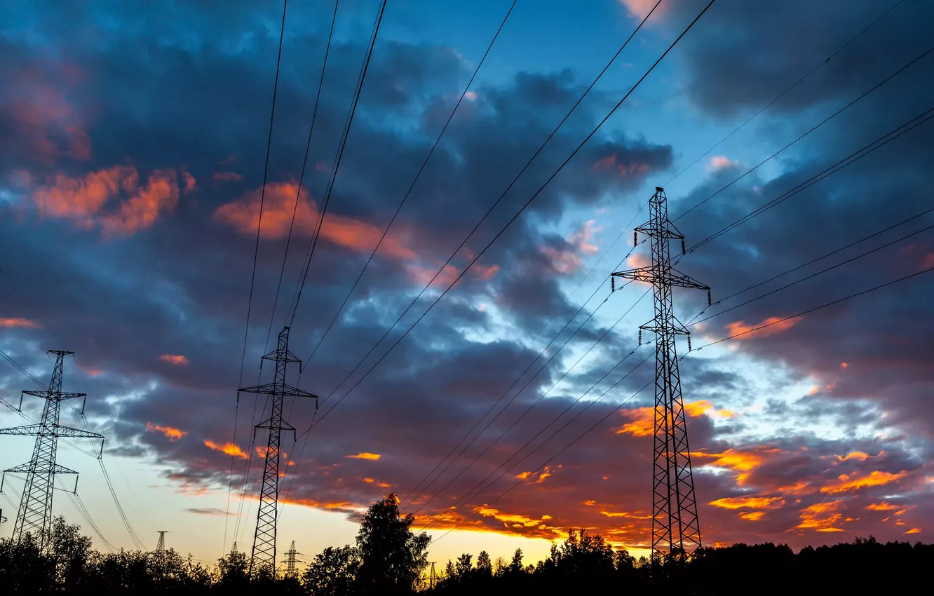 Photo wallpaper forest, the sky, clouds, trees, landscape, sunset, nature, wire