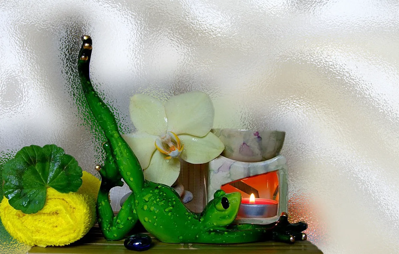 Photo wallpaper flower, relax, frog, figurine, still life, candle, Orchid, the Wallpapers