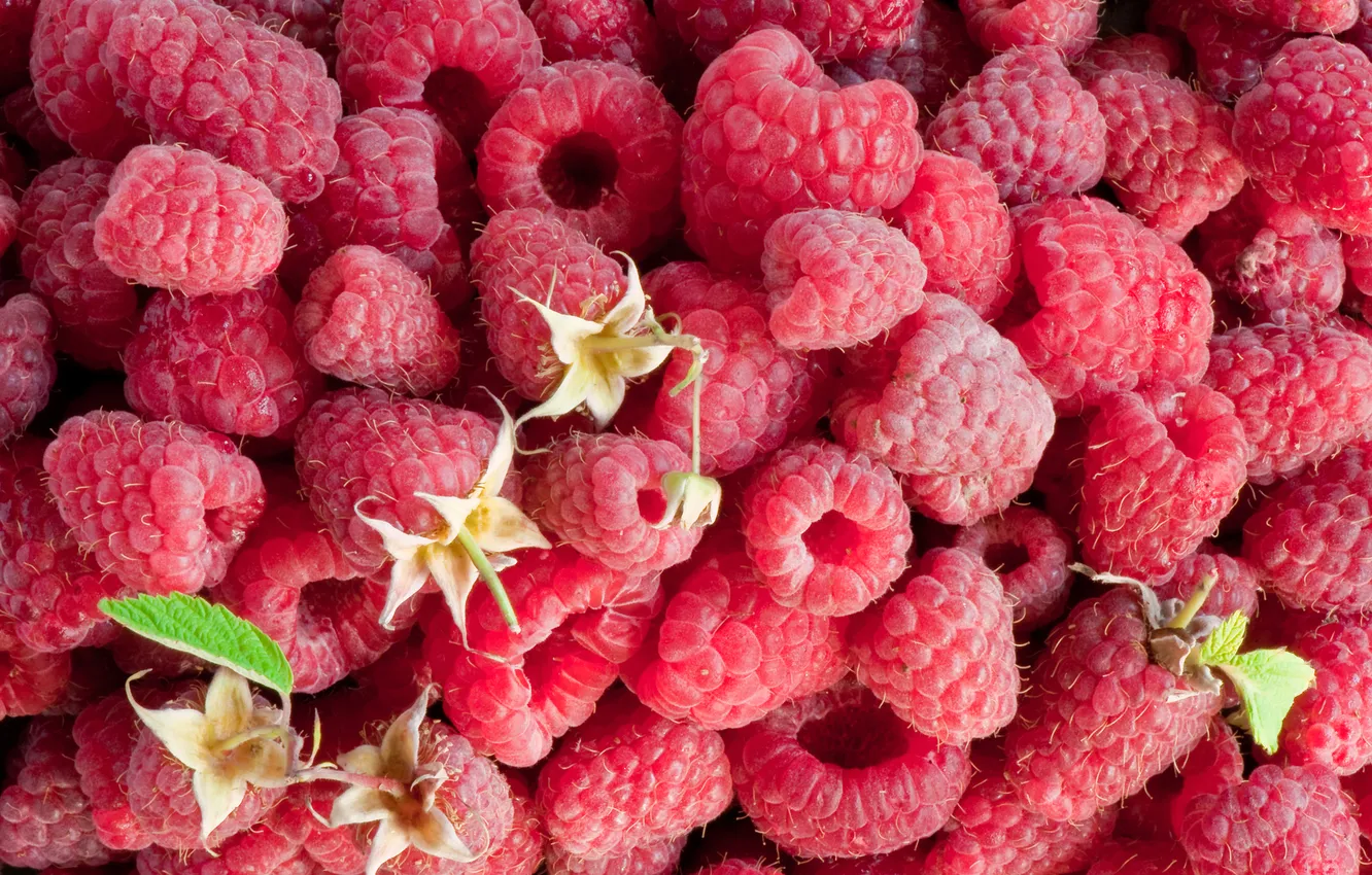 Photo wallpaper summer, berries, Malinka