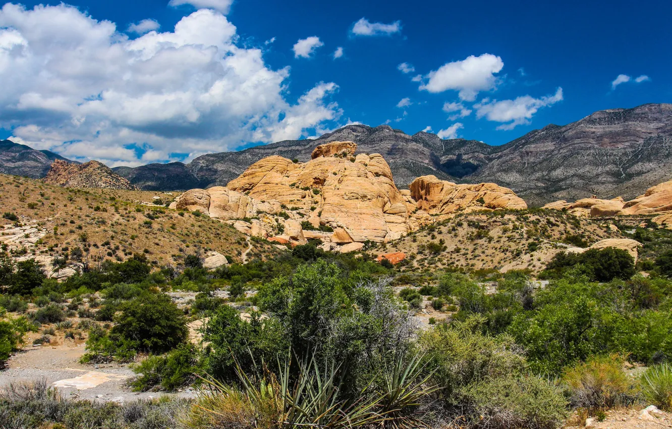 Photo wallpaper the sky, clouds, mountains