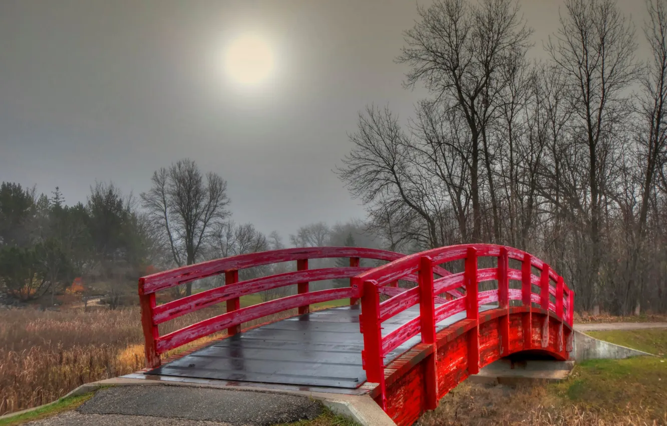 Photo wallpaper autumn, trees, bridge, fog, Park