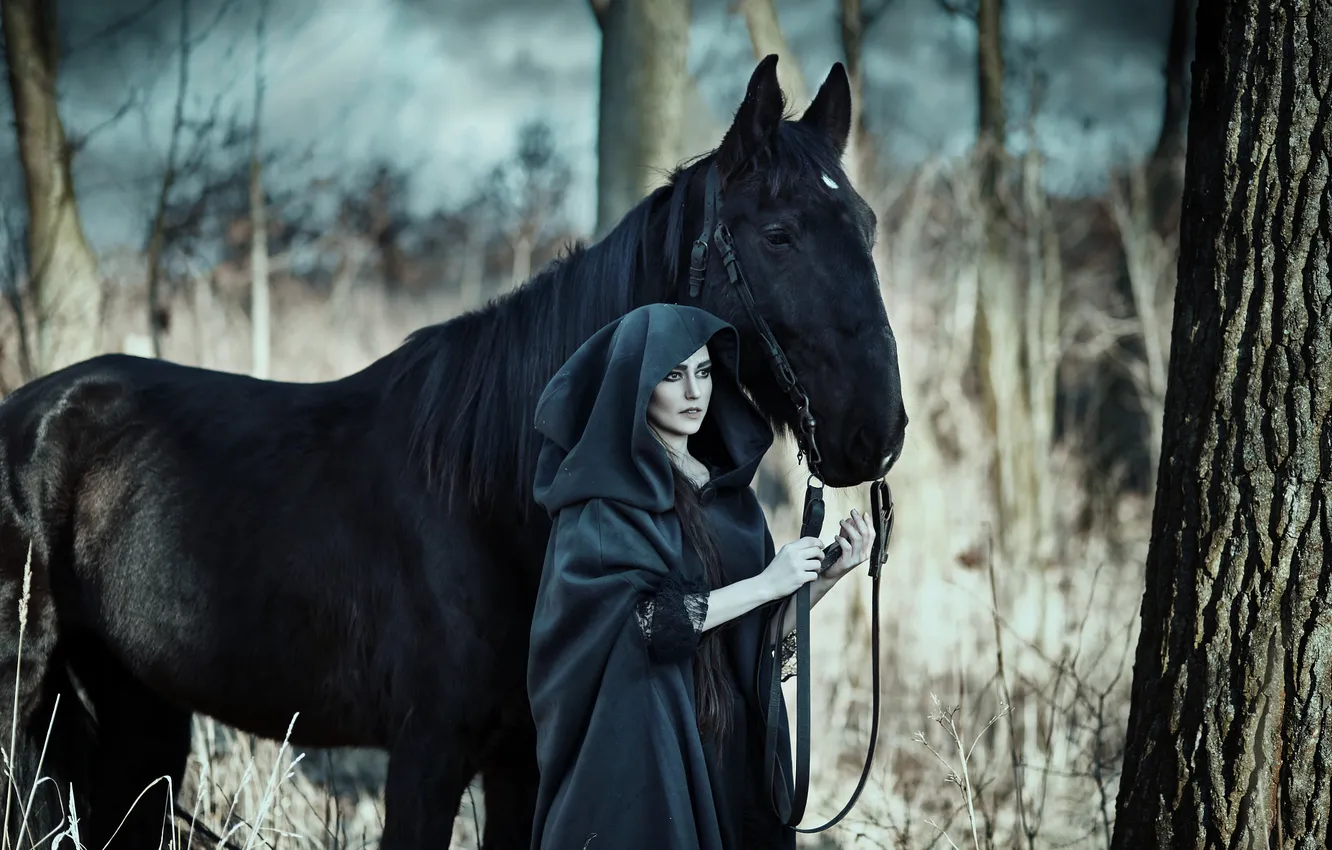 Photo wallpaper forest, girl, style, horse, horse, makeup, fantasy, hood