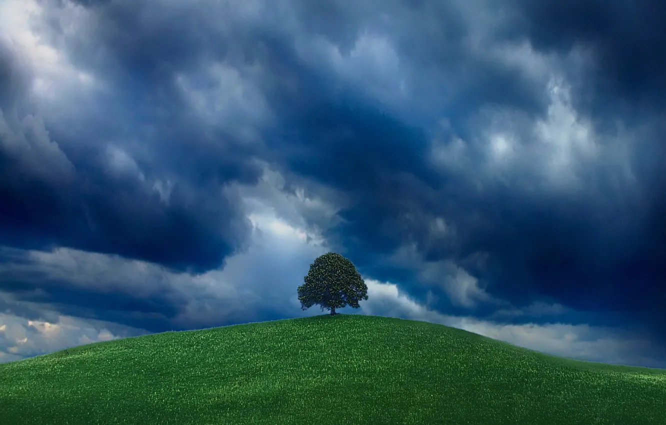 Photo wallpaper greens, the sky, tree, hill