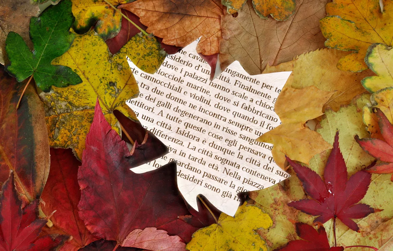 Photo wallpaper autumn, leaves, autumn reading