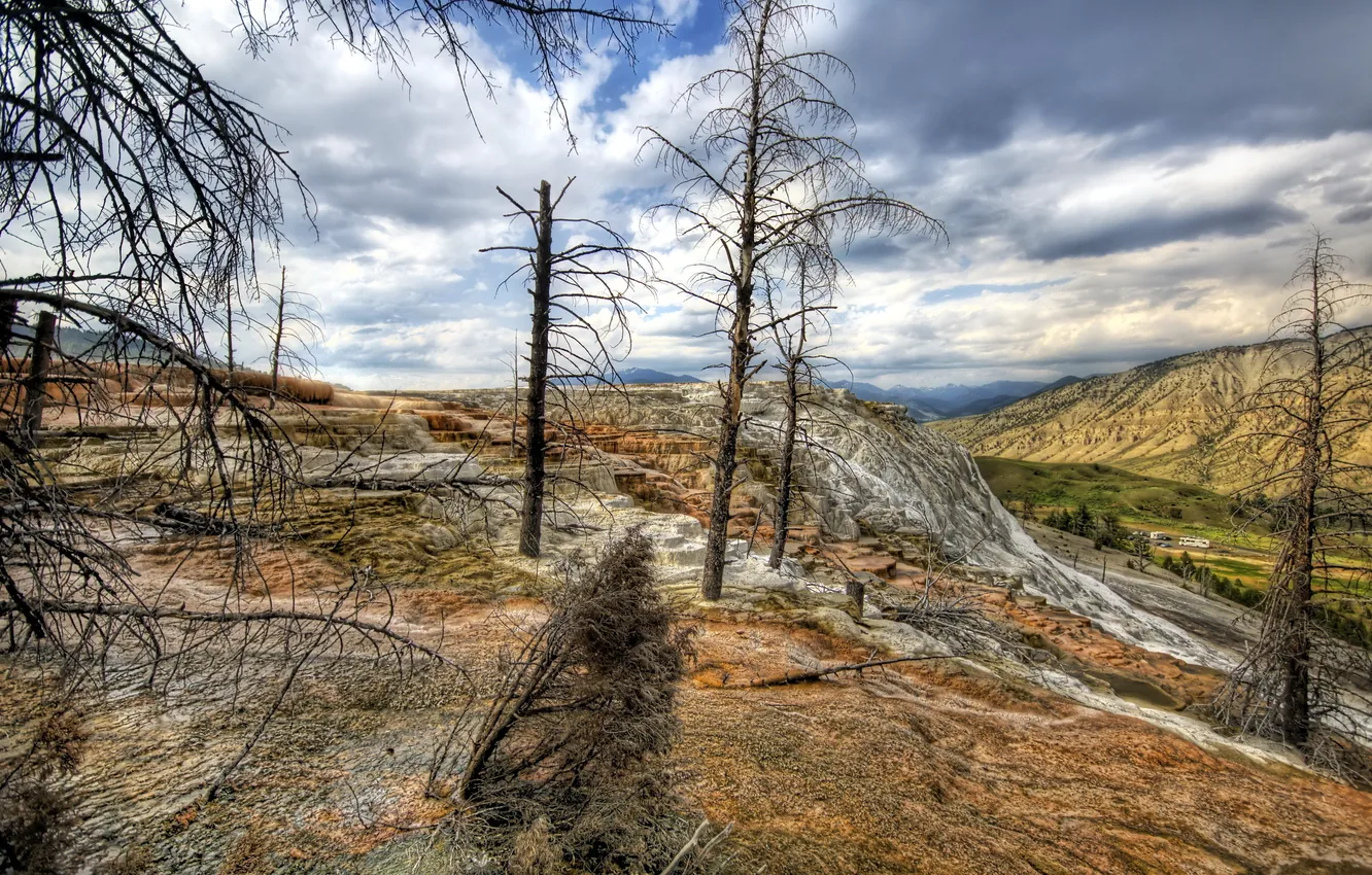 Photo wallpaper trees, landscape, mountains, nature