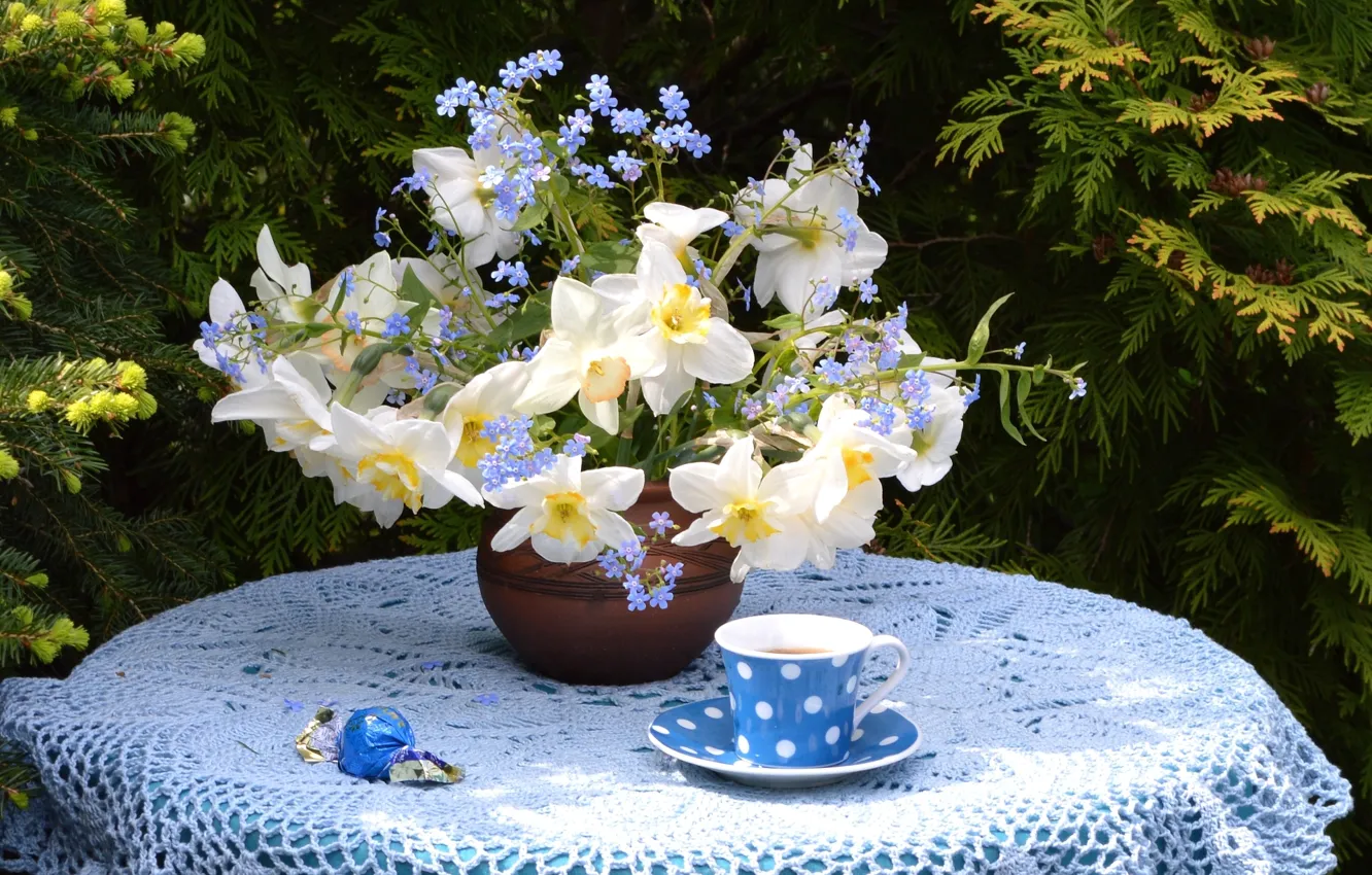 Photo wallpaper tea, bouquet, Cup, candy, Narcissus, forget-me-not