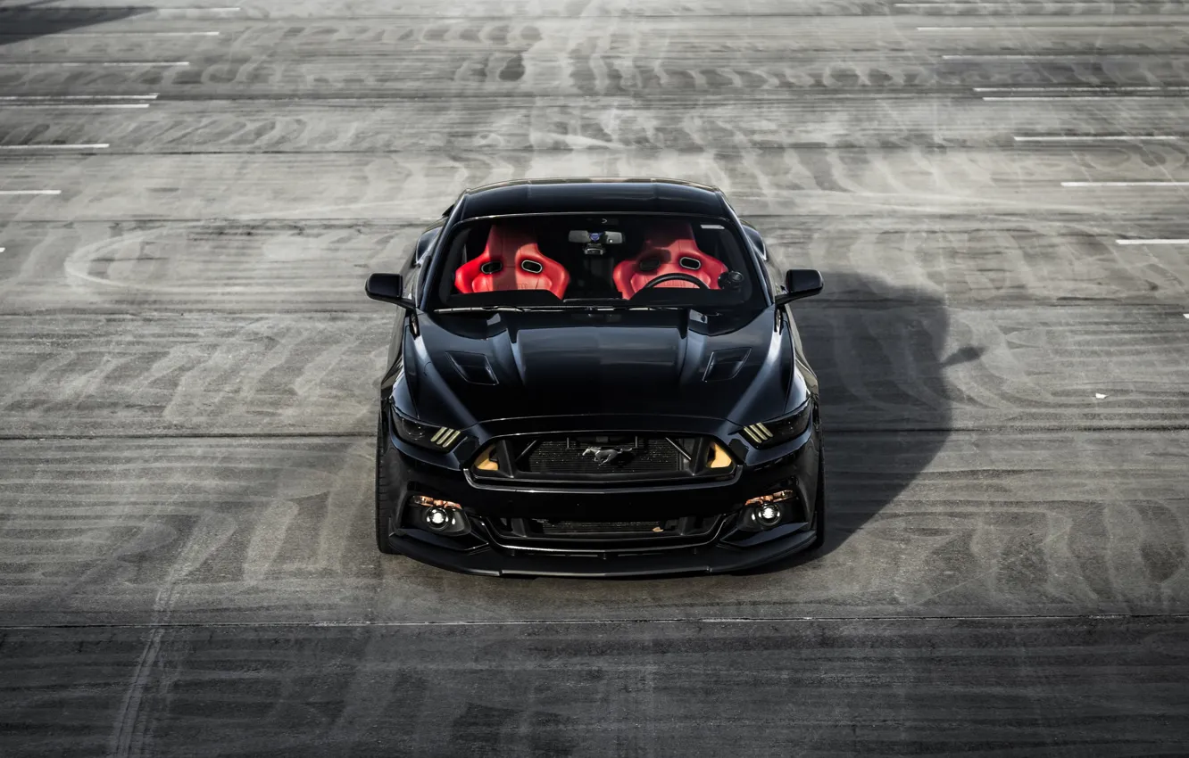 Photo wallpaper Mustang, Ford, Front, Black, Face, Sight