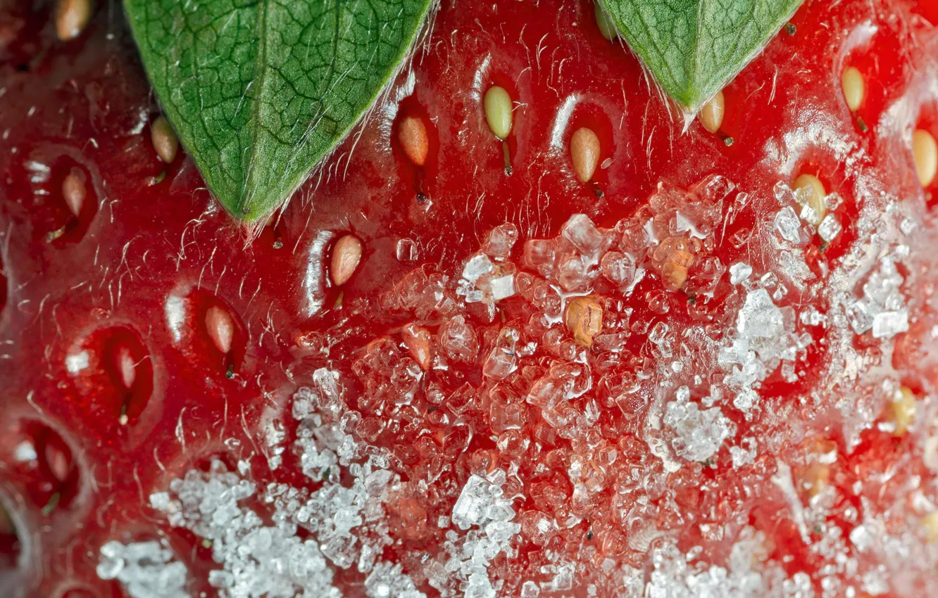 Photo wallpaper macro, strawberry, sugar
