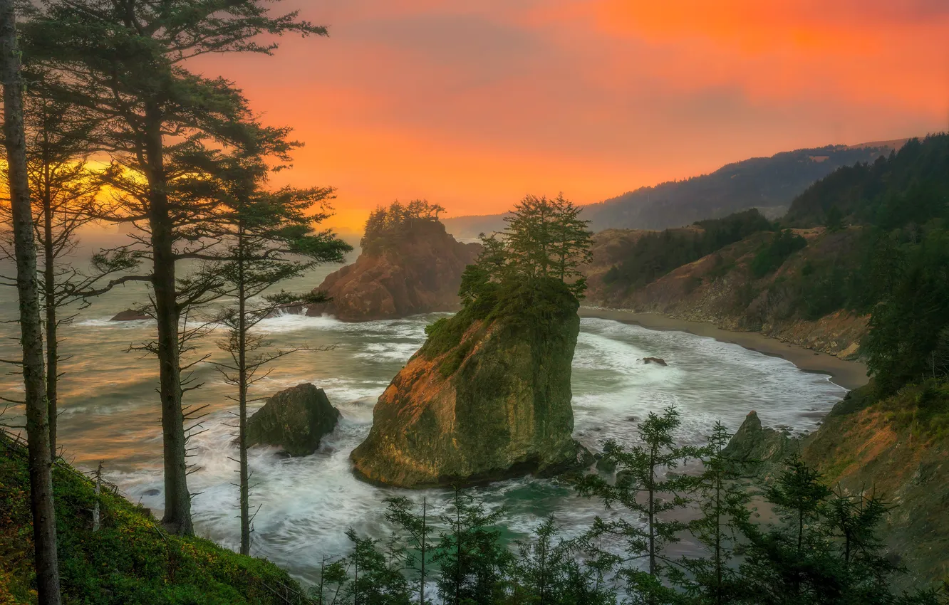 Photo wallpaper sea, wave, sunset, rocks, shore, pine
