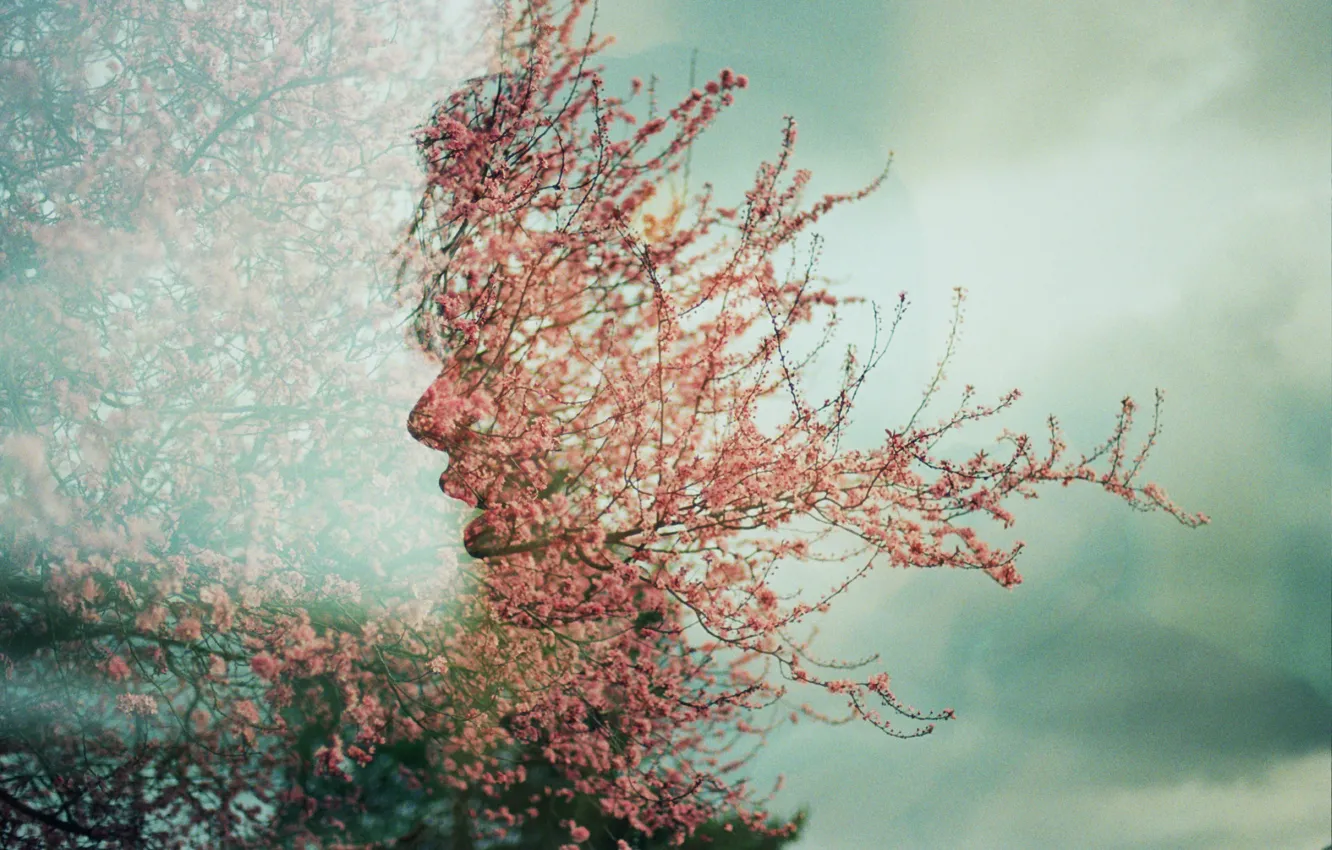 Photo wallpaper face, tree, spring, flowers, Úna, double exposure, double exposure