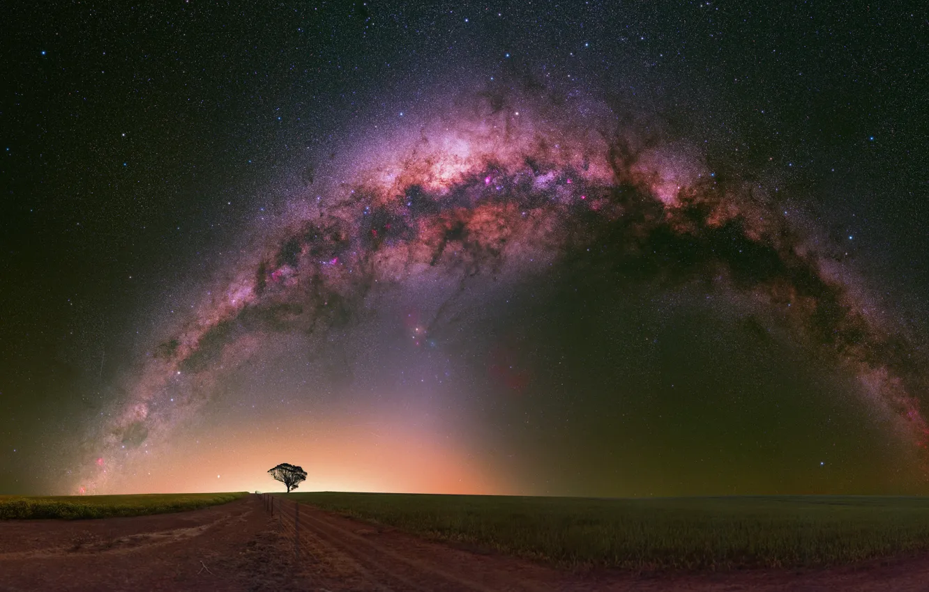 Photo wallpaper road, field, the sky, stars, trees, landscape, night, nature