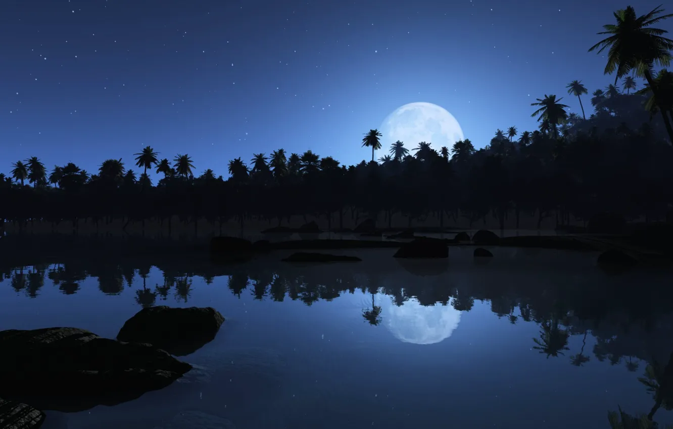 Photo wallpaper stars, reflection, the moon, Palm trees