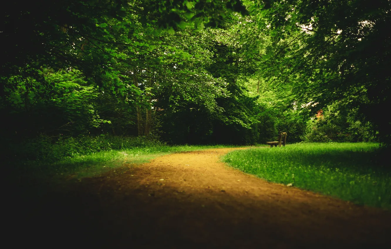 Photo wallpaper Park, alley, path, bench