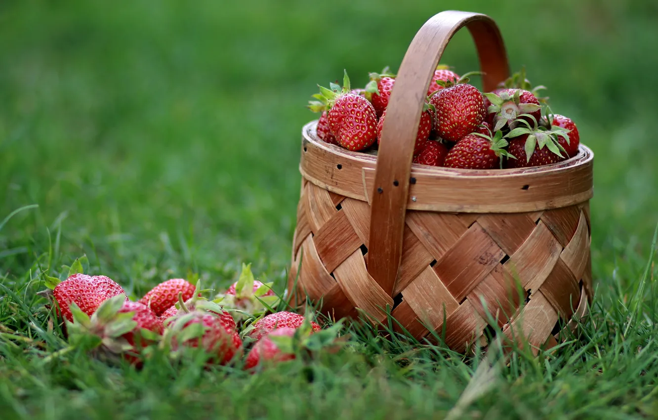 Photo wallpaper grass, berries, strawberry, basket