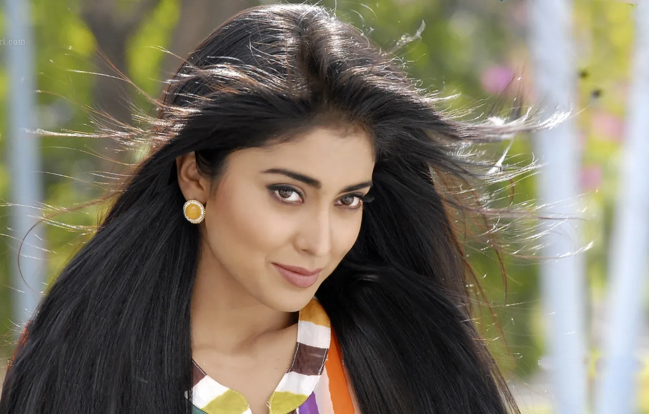 Photo wallpaper smile, model, India, actress, brunette, Shriya Latest