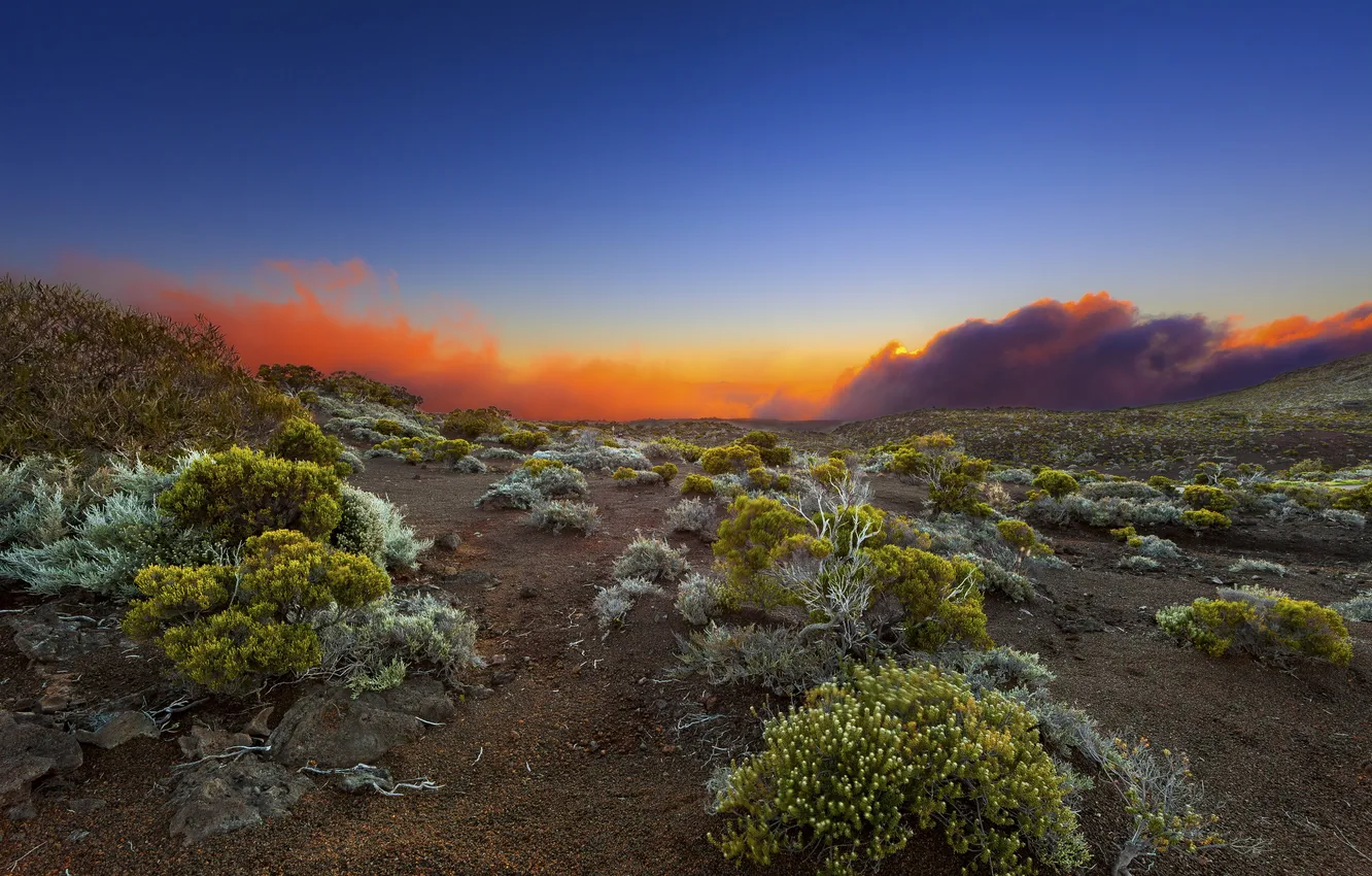 Photo wallpaper field, landscape, sunset, nature