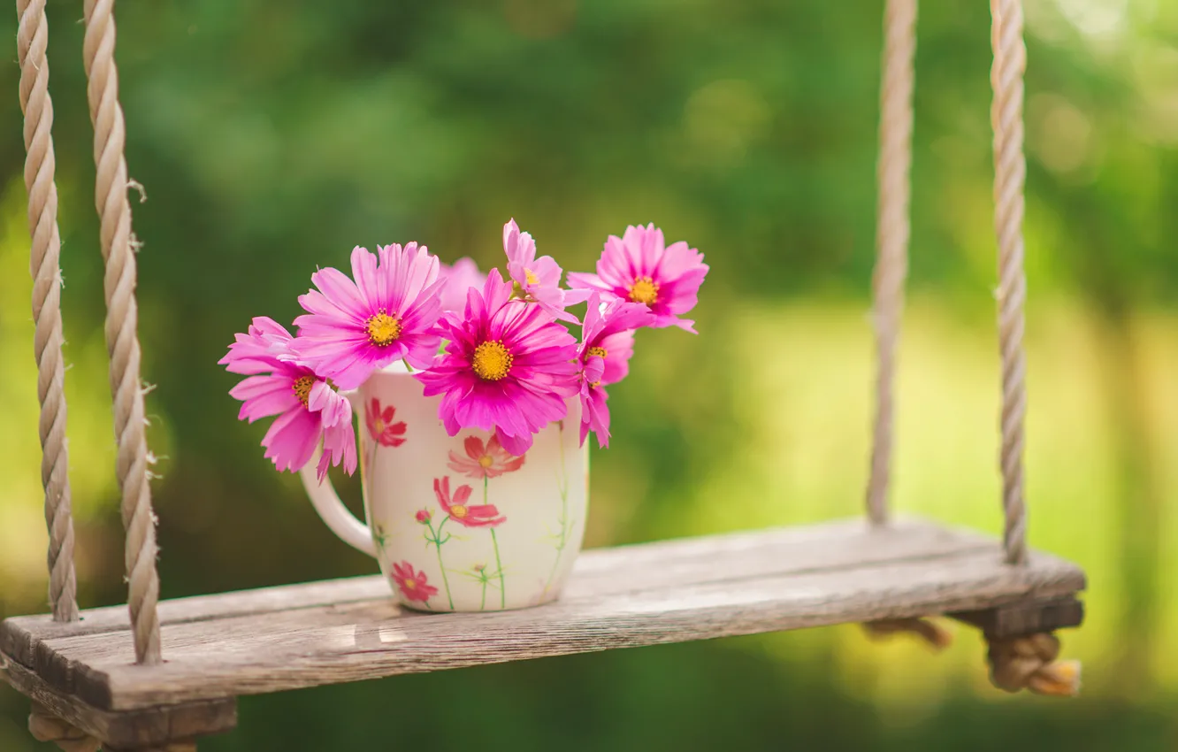 Photo wallpaper greens, flowers, swing, Cup, kosmeya
