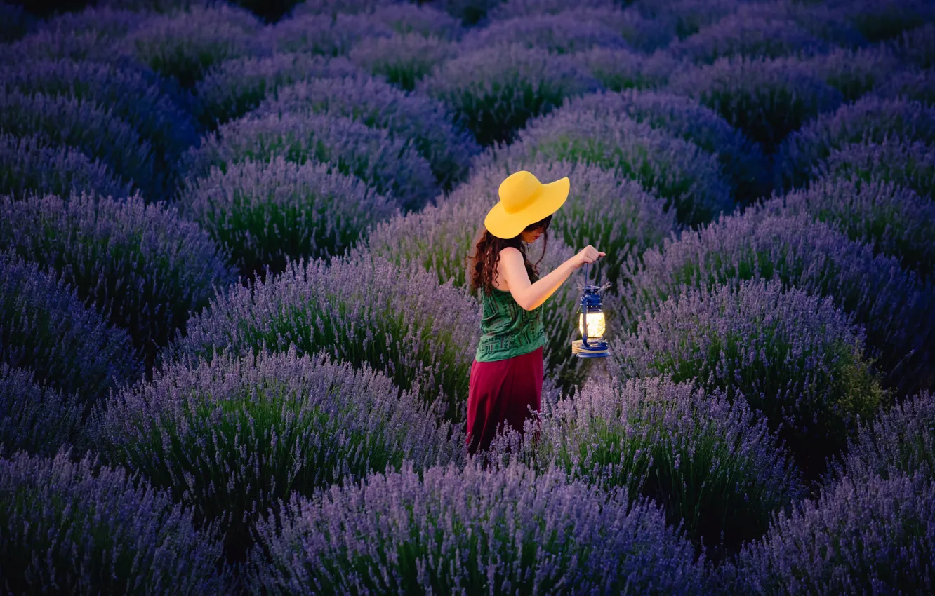 Photo wallpaper field, girl, flowers, lamp, the evening, walk, lavender
