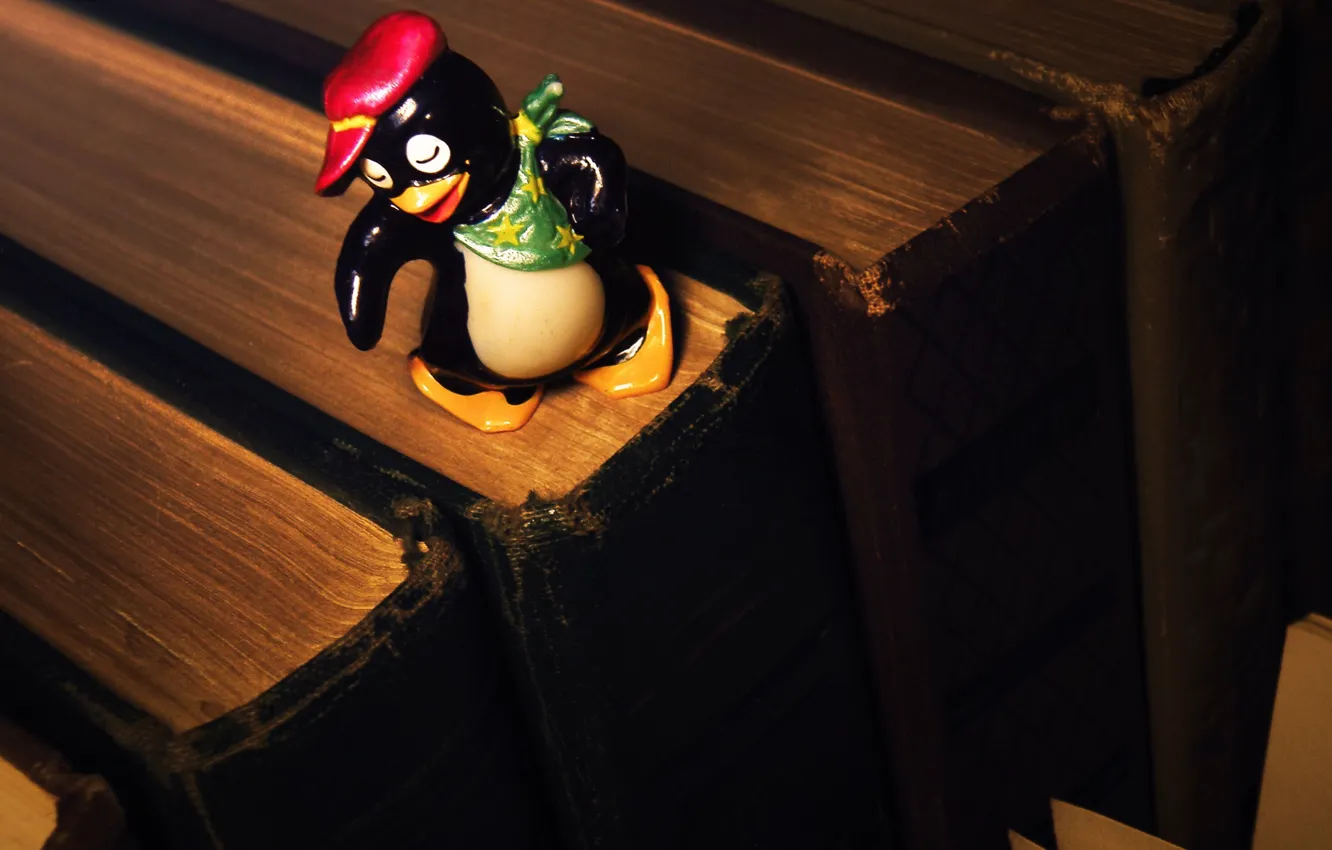 Photo wallpaper toy, penguin, books, surprise, childhood, shawl, kinder, cap
