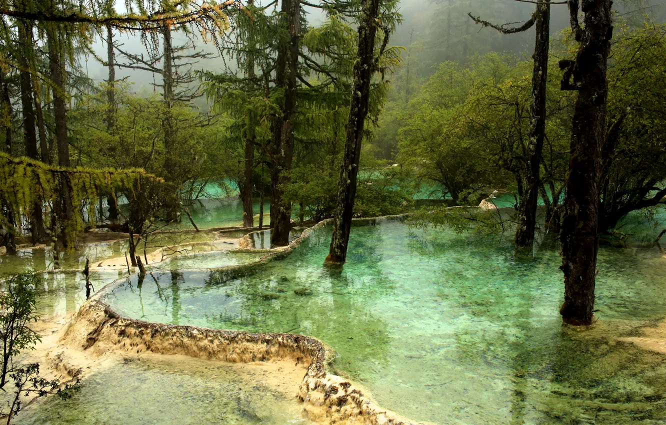 Photo wallpaper water, trees, fog, Park, China, river, Jiuzhaigou National Park