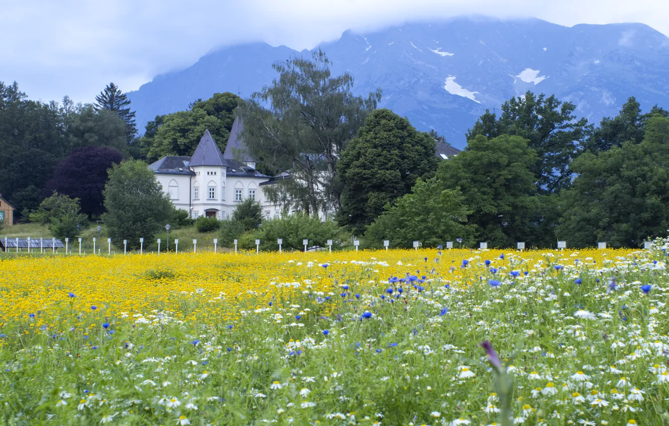 Photo wallpaper mountains, field, trees, mansion, castle