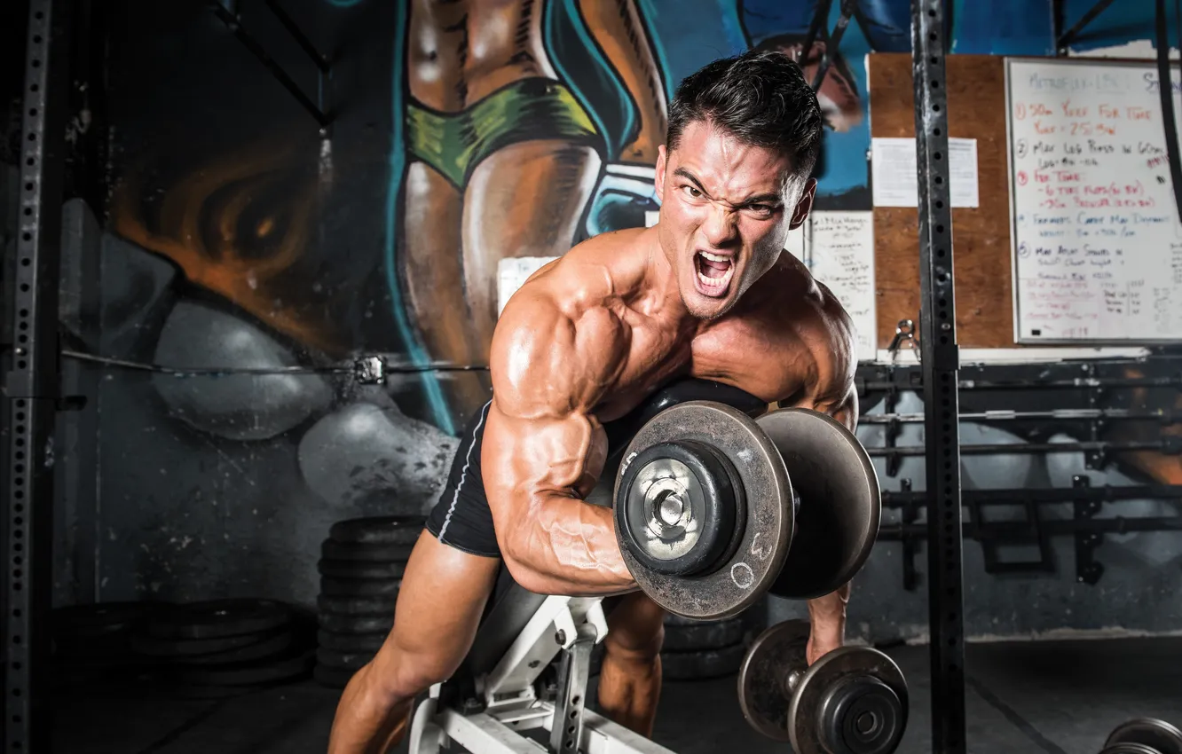 Photo wallpaper pose, Muscle, muscle, pose, dumbbells, biceps, bodybuilder, dumbbells