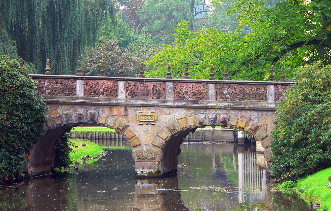 Photo wallpaper trees, bridge, nature, Park, river, duck