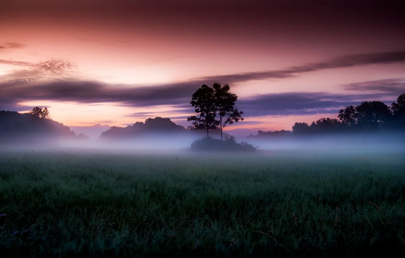 Photo wallpaper The sky, Clouds, Field, Fog, Trees, Morning, Dawn, The edge