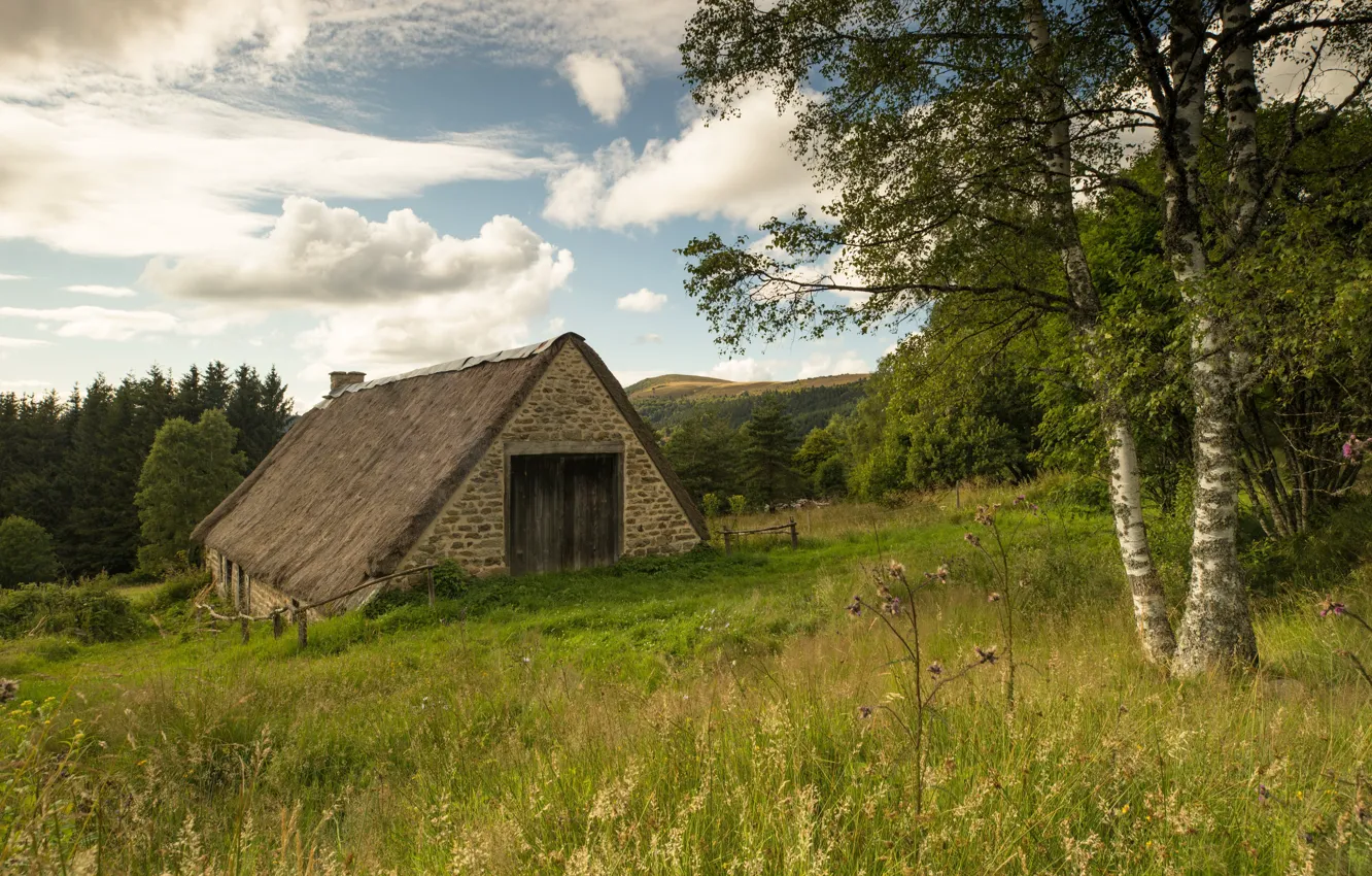 Photo wallpaper summer, the barn, birch