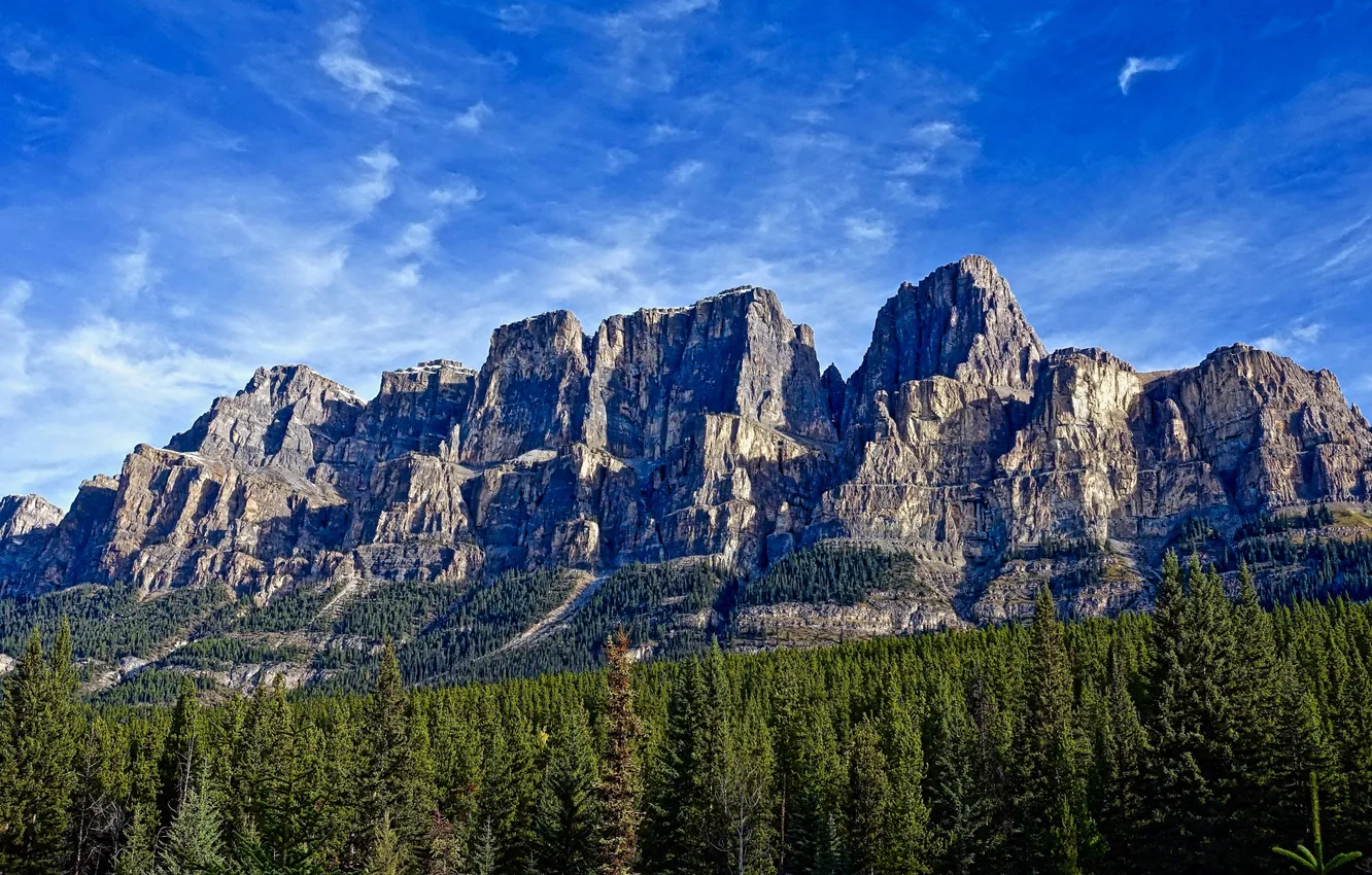 Photo wallpaper forest, sky, landscape, nature, mountains