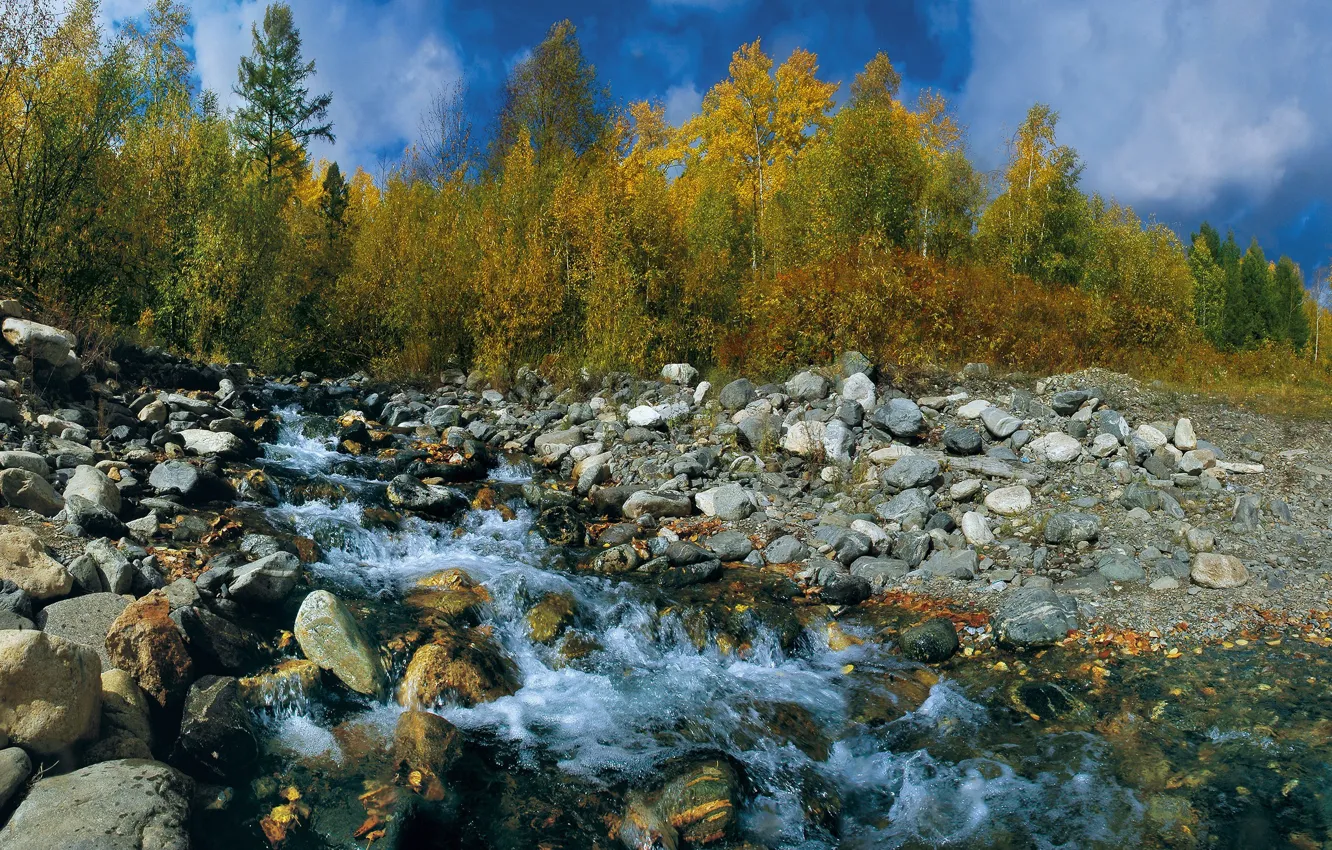 Photo wallpaper autumn, the sky, leaves, trees, stream, stones
