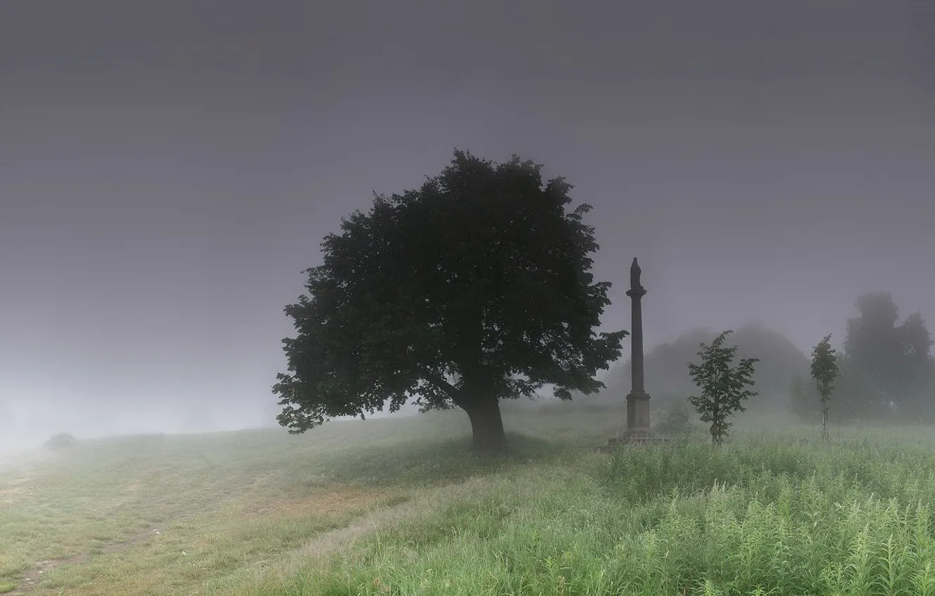 Photo wallpaper grass, fog, tree, monument