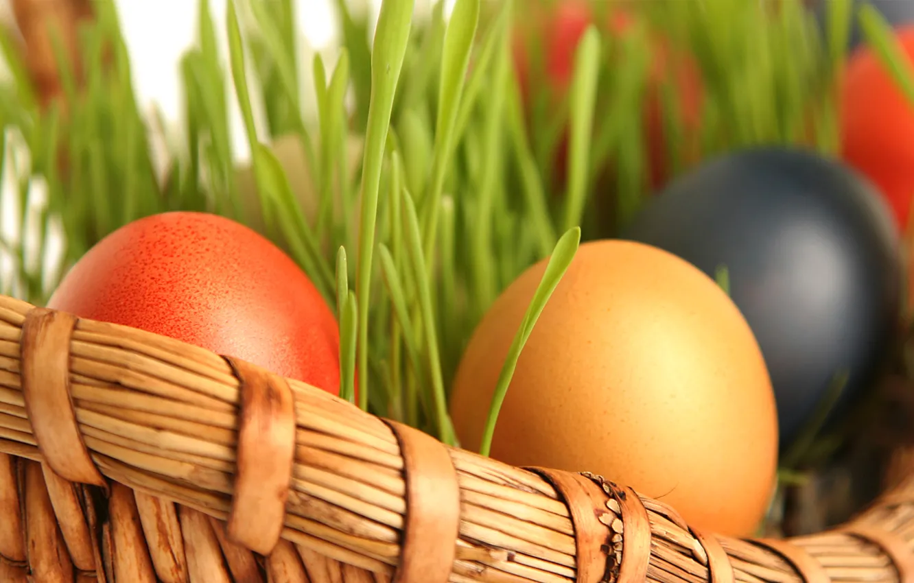 Photo wallpaper eggs, spring, Easter, basket