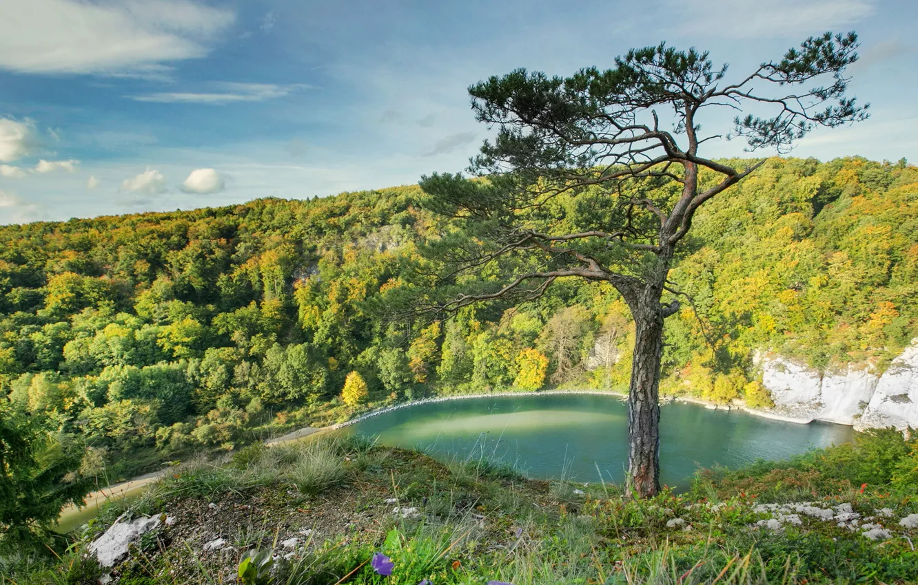 Photo wallpaper trees, landscape, nature, photo, Germany, Bayern