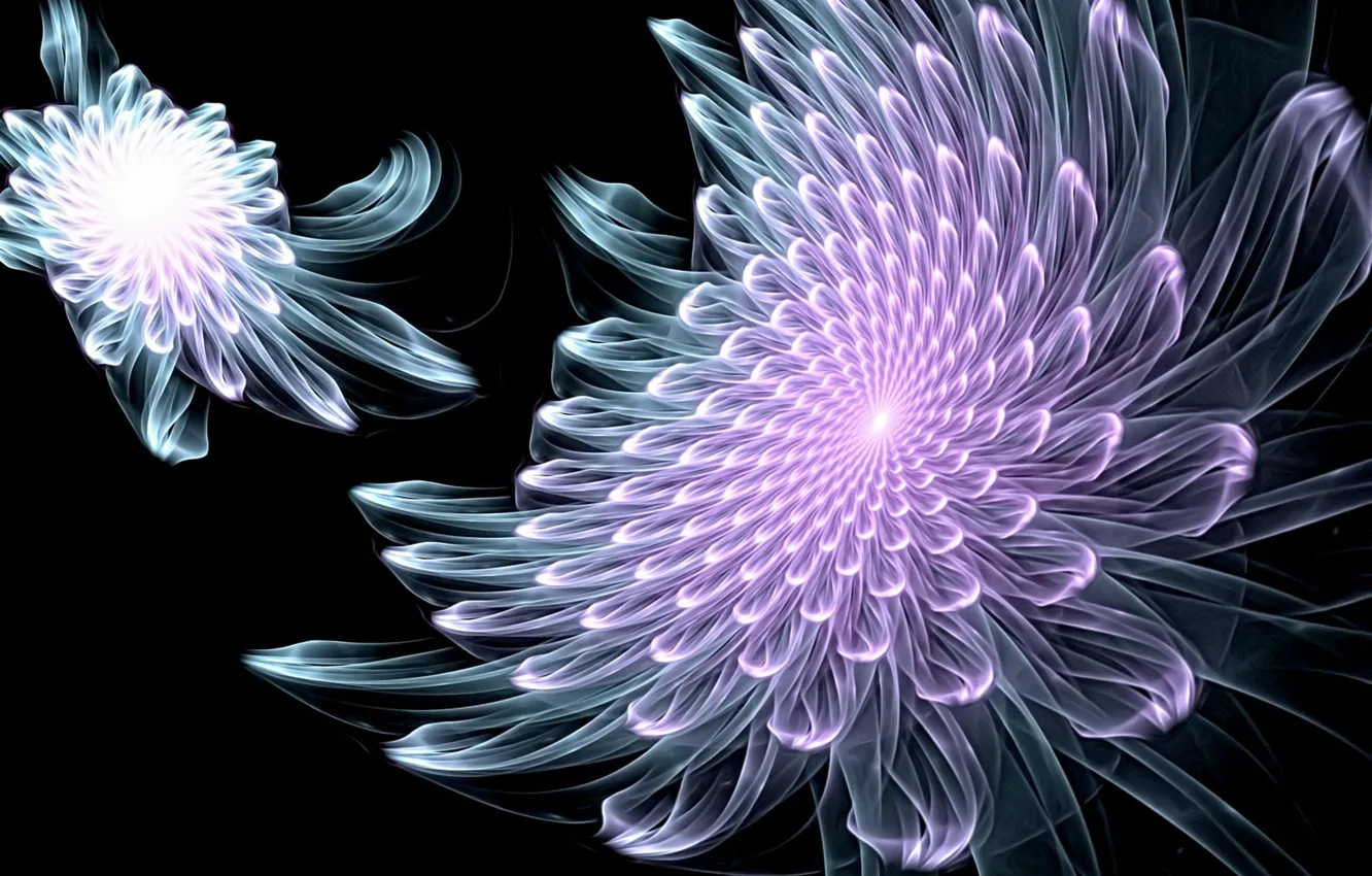 Photo wallpaper abstraction, rendering, fantasy, fractals, black background, picture, glowing lines, fantastic flowers