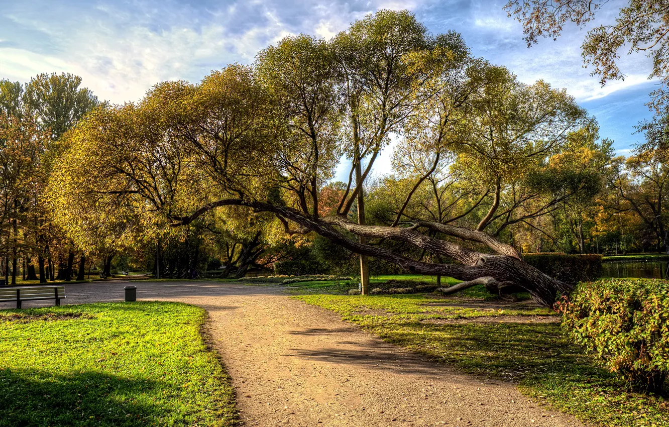 Photo wallpaper autumn, the sky, the sun, clouds, trees, bench, pond, Park