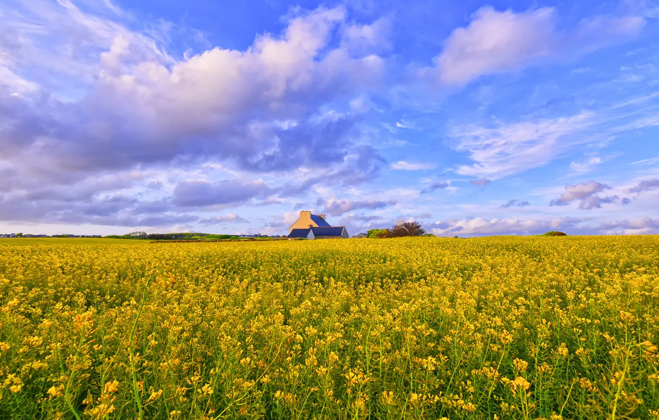 Photo wallpaper clouds, blue, house, rape, rapeseed field