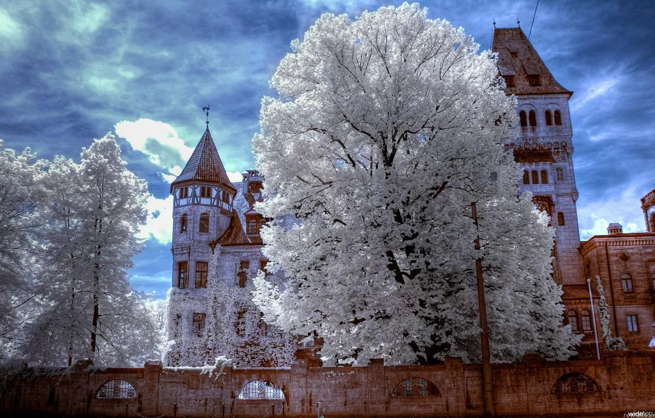 Photo wallpaper frost, the sky, trees, branches, castle, home