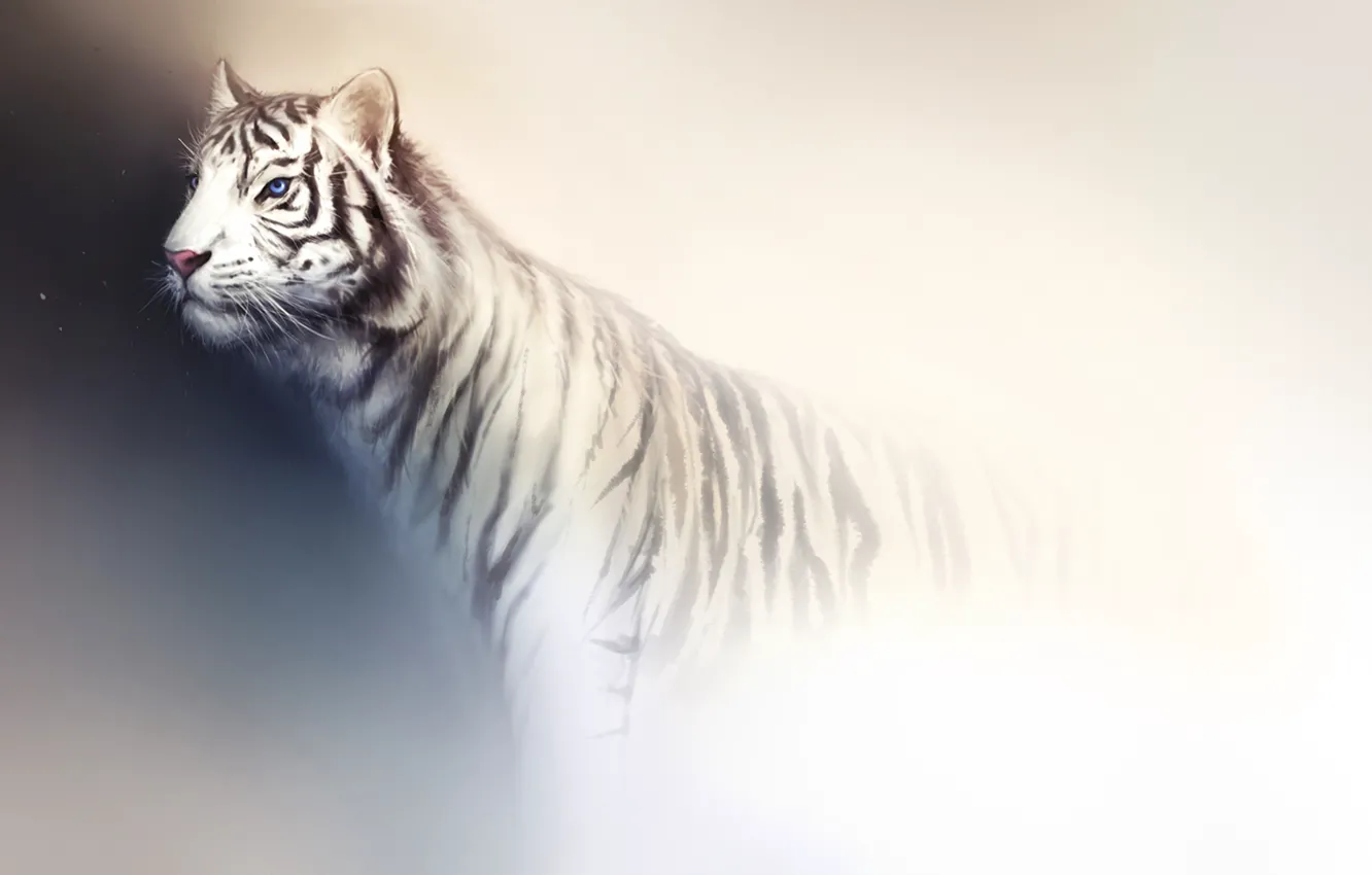 Photo wallpaper white, light, tiger, background, predator, art, wild cat
