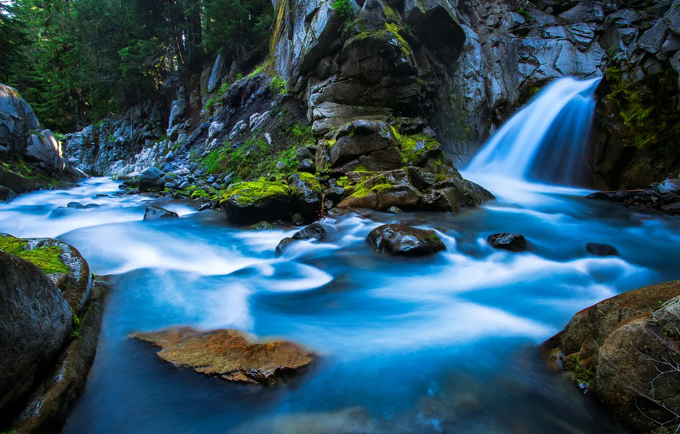 Photo wallpaper forest, trees, river, stream, stones, waterfall, waterfall, Rainier National Park