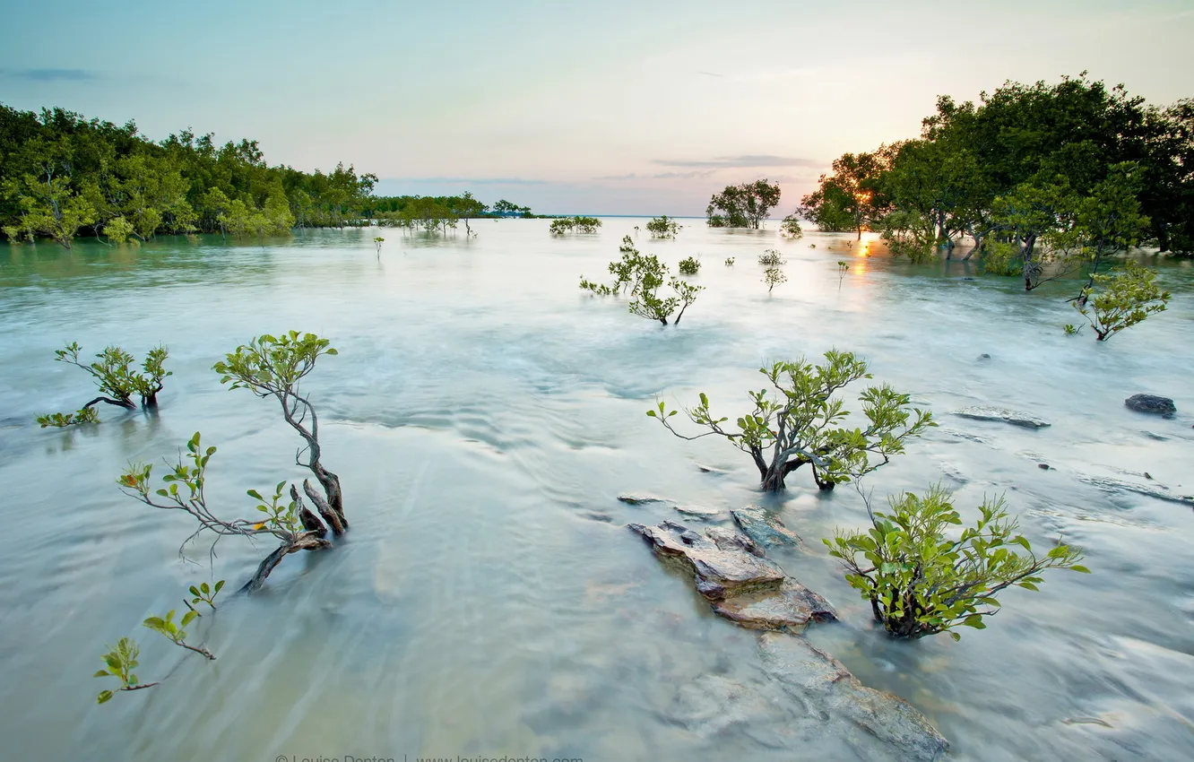Photo wallpaper summer, nature, river