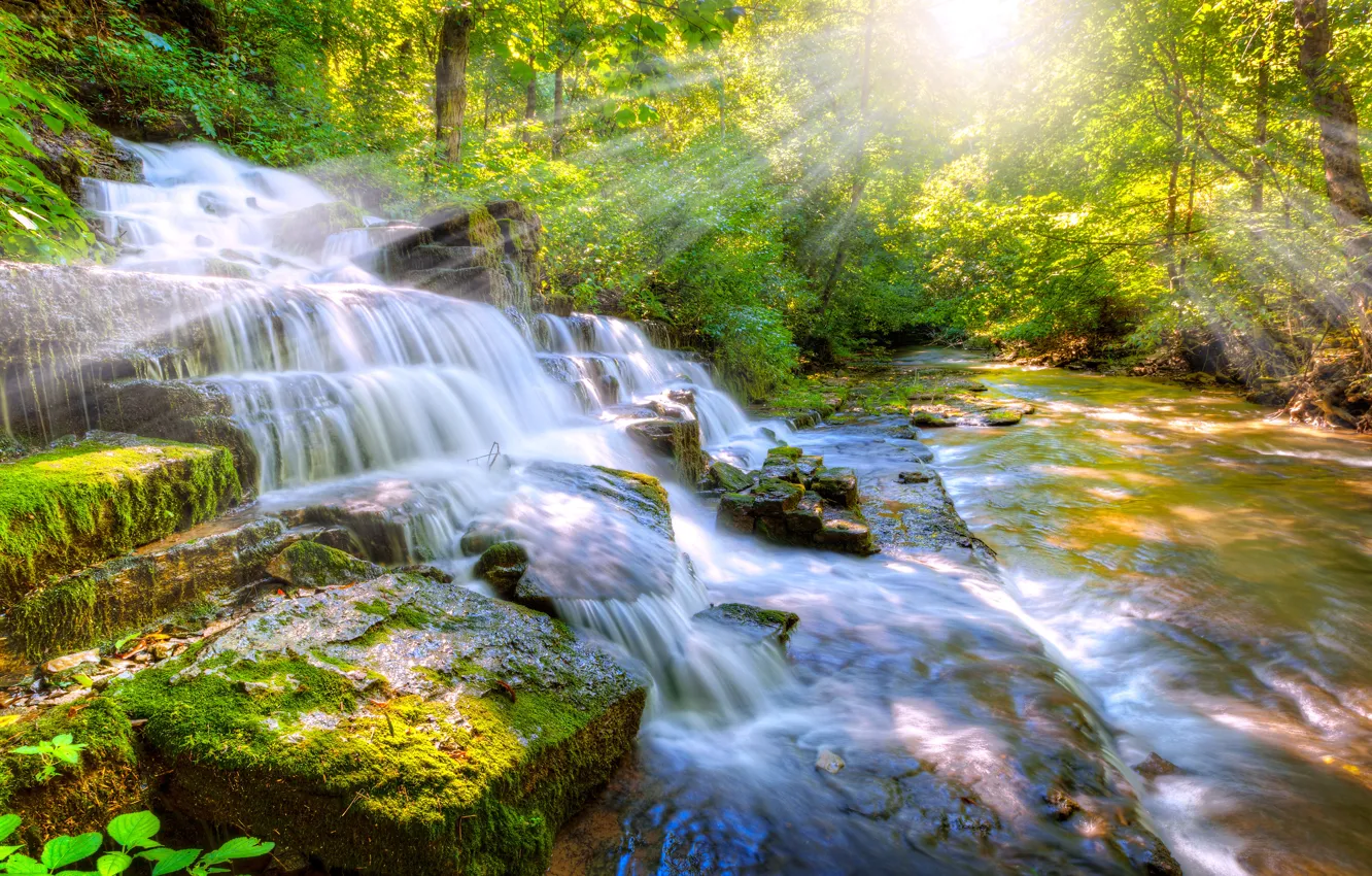 Photo wallpaper forest, trees, nature, stones, waterfall, moss, the rays of the sun