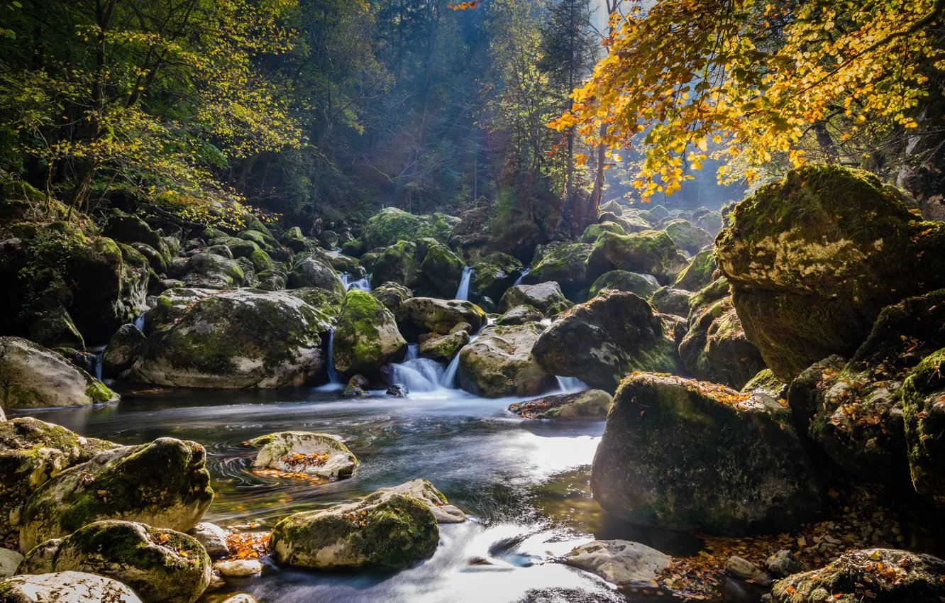 Photo wallpaper autumn, forest, water, nature, river, stones