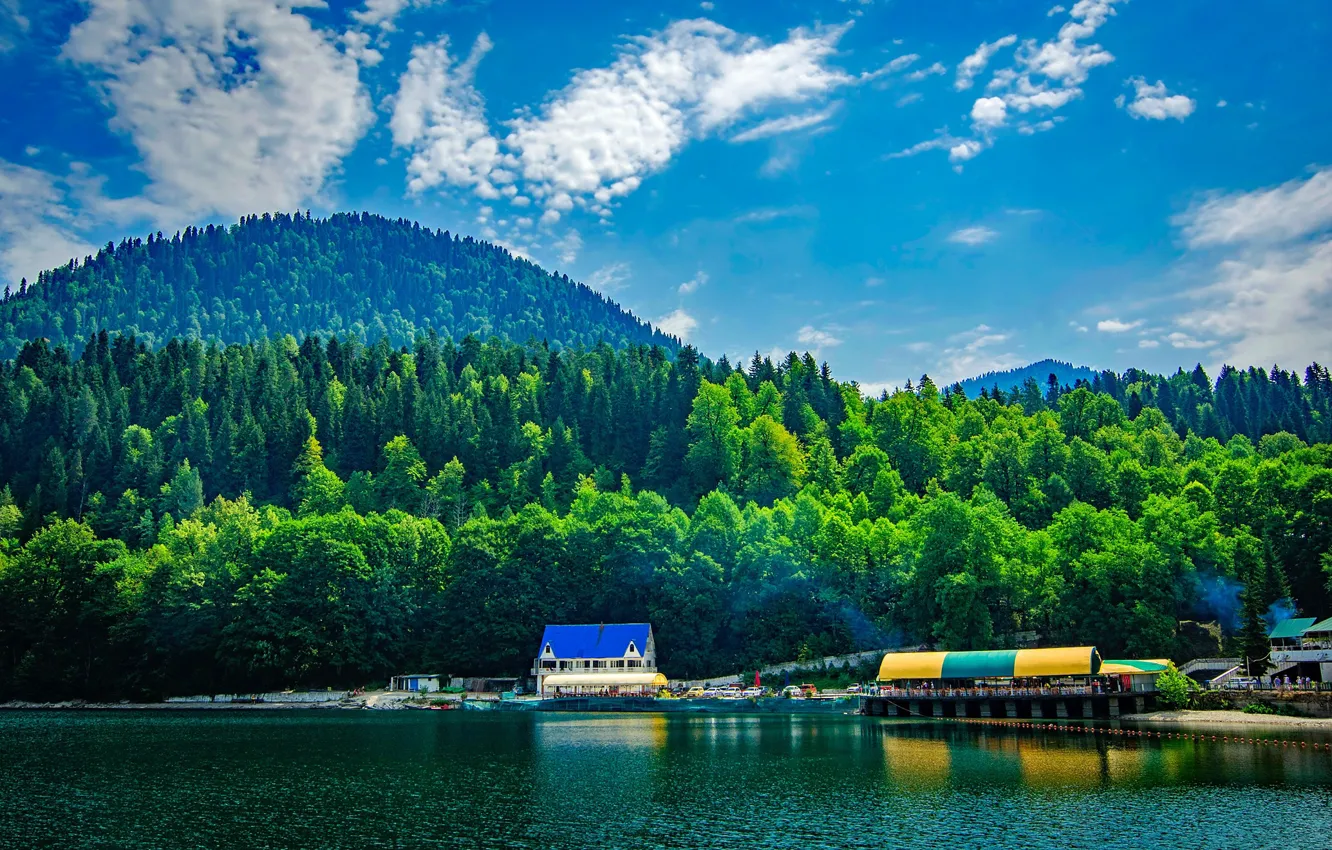 Photo wallpaper greens, forest, summer, the sky, the sun, clouds, trees, mountains