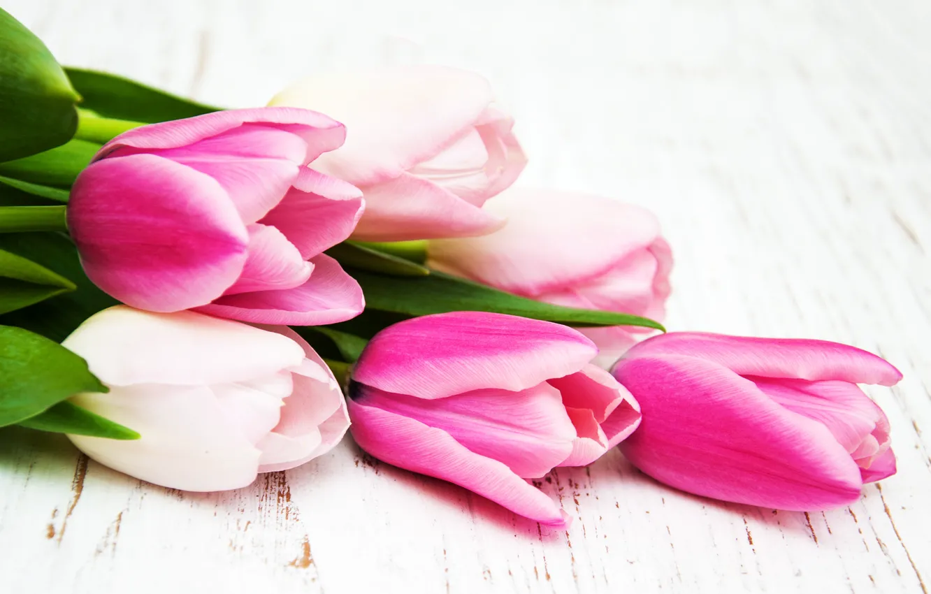 Photo wallpaper bouquet, tulips, pink, buds, Olena Rudo
