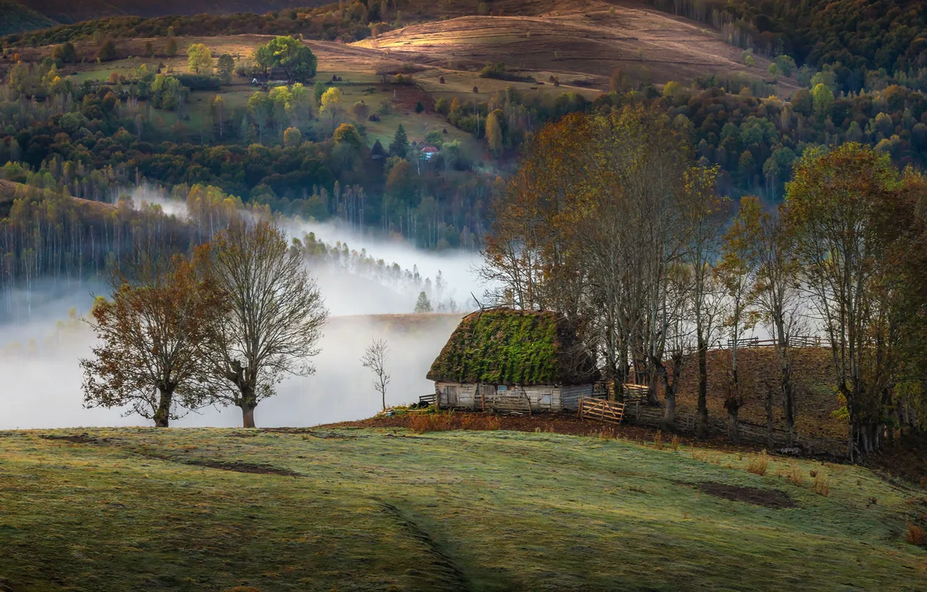 Photo wallpaper autumn, trees, landscape, nature, fog, hills, home, morning